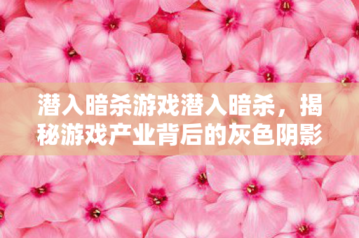 揭秘游戏产业背后的灰色阴影图片