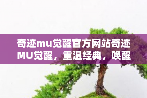 奇迹mu觉醒官方网站奇迹MU觉醒图片