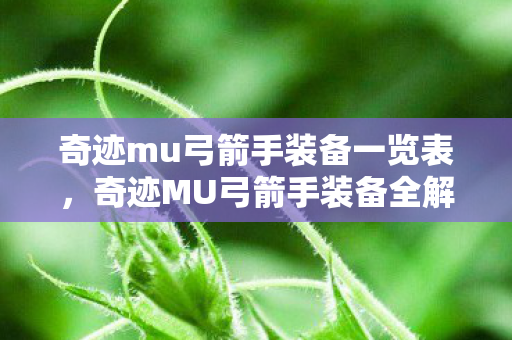 奇迹mu弓箭手装备一览表图片