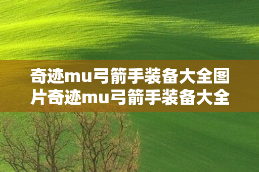 奇迹mu弓箭手装备大全图片奇迹mu弓箭手装备大全图片