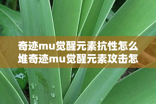 奇迹mu觉醒元素抗性怎么堆奇迹mu觉醒元素攻击怎么选择图片