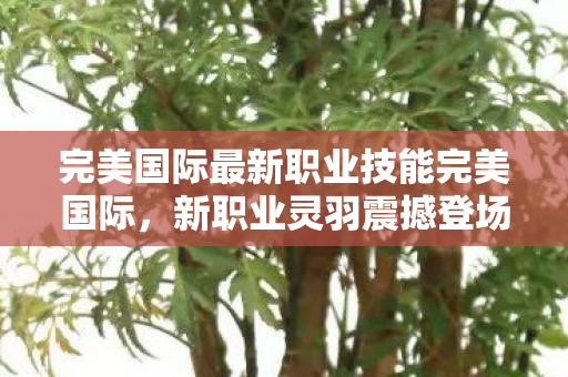完美国际最新职业技能完美国际图片