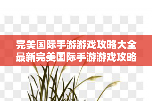 完美国际手游游戏攻略大全最新完美国际手游游戏攻略大全图片