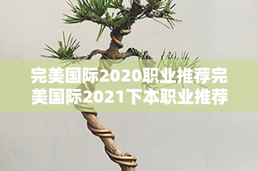 完美国际2020职业推荐完美国际2021下本职业推荐图片