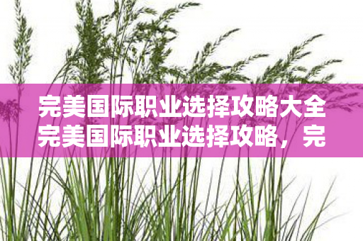 完美国际职业选择攻略大全完美国际职业选择攻略图片