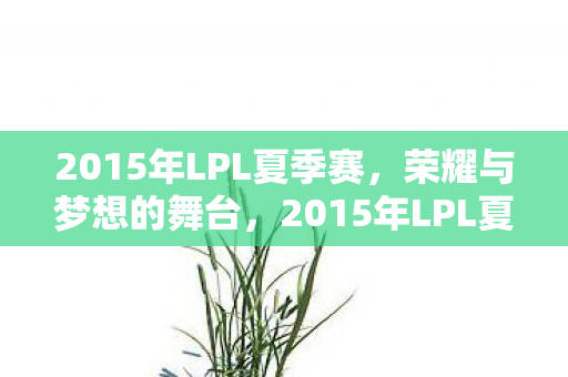 2015年LPL夏季赛,荣耀与梦想的舞台,2015年LPL夏季赛,荣耀与梦想的舞台 2015年LPL夏季赛,荣耀与梦想的舞台,2015年LPL夏季赛,荣耀与梦想的舞台