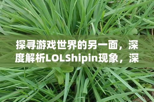 探寻游戏世界的另一面,深度解析LOLShipin现象,深度解析,LOLShipin现象背后的游戏世界另一面 探寻游戏世界的另一面,深度解析LOLShipin现象,深度解析,LOLShipin现象背后的游戏世界另一面