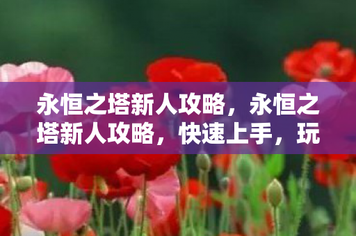 永恒之塔新人攻略图片