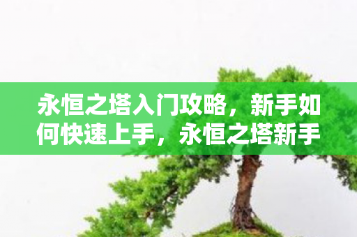 永恒之塔新手入门攻略图片