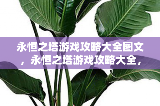 永恒之塔游戏攻略大全图文图片