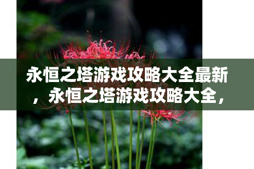 永恒之塔游戏攻略大全最新图片