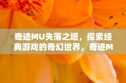 探索经典游戏的奇幻世界图片