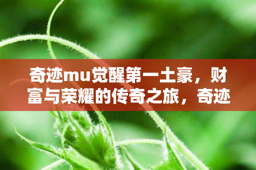 第一土豪的财富与荣耀传奇图片