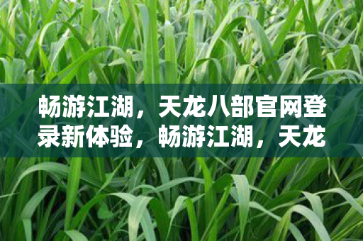 天龙八部官网登录新体验上线图片