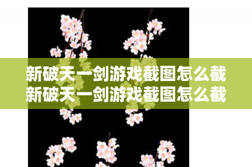 新破天一剑游戏截图怎么截新破天一剑游戏截图怎么截图片