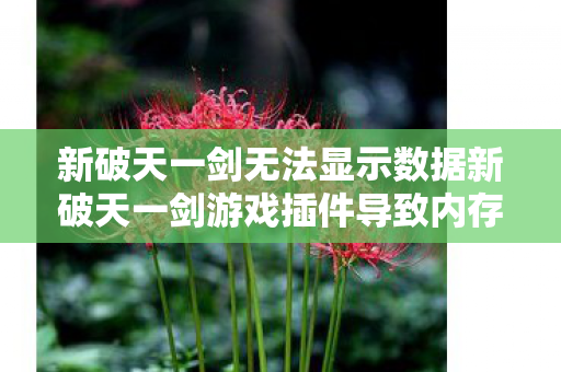 新破天一剑无法显示数据新破天一剑游戏插件导致内存高图片