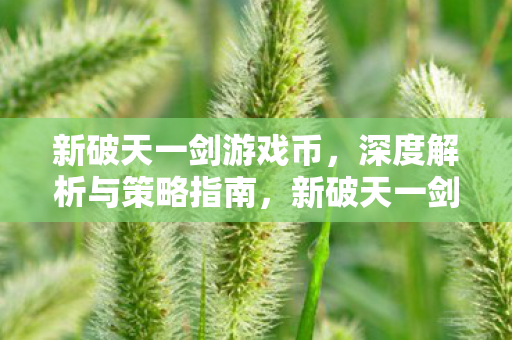 游戏币深度解析与策略指南图片