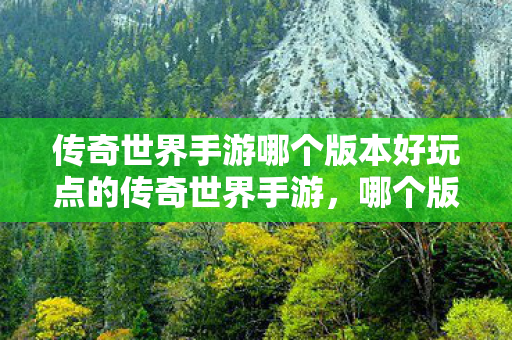 传奇世界手游哪个版本好玩点的传奇世界手游图片