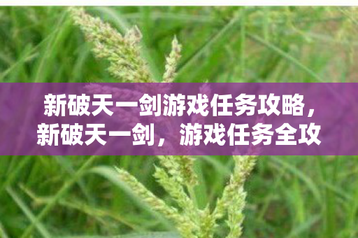新破天一剑游戏任务攻略图片