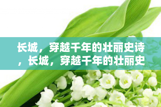 穿越千年的壮丽史诗图片
