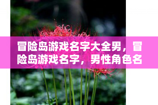 冒险岛游戏名字大全男,冒险岛游戏名字,男性角色名字大全 冒险岛游戏名字大全男,冒险岛游戏名字,男性角色名字大全
