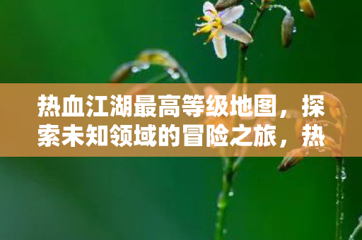 热血江湖最高等级地图,探索未知领域的冒险之旅,热血江湖最高等级地图,探索未知领域的冒险之旅 热血江湖最高等级地图,探索未知领域的冒险之旅,热血江湖最高等级地图,探索未知领域的冒险之旅