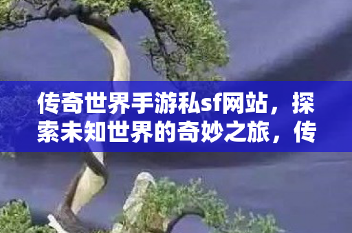 开启未知世界的奇妙探险之旅图片