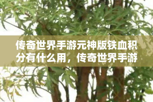 传奇世界手游元神版铁血积分有什么用图片