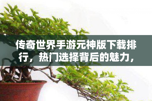 传奇世界手游元神版下载排行图片