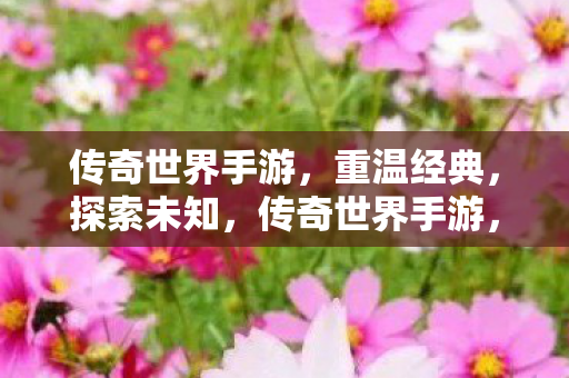 传奇世界手游图片