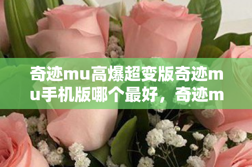 奇迹mu高爆超变版奇迹mu手机版哪个最好图片