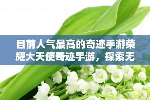 目前人气最高的奇迹手游荣耀大天使奇迹手游图片