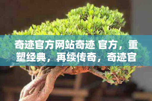 奇迹官方网站奇迹 官方图片