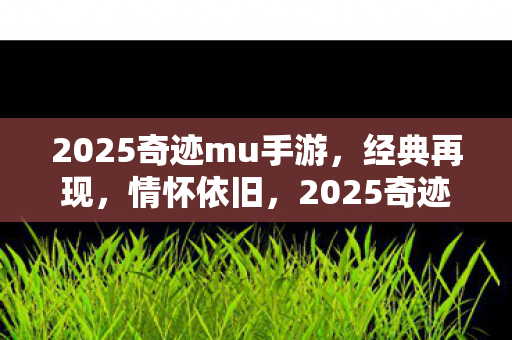 2025奇迹mu手游图片