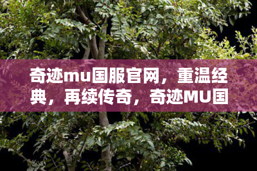 奇迹mu国服官网图片