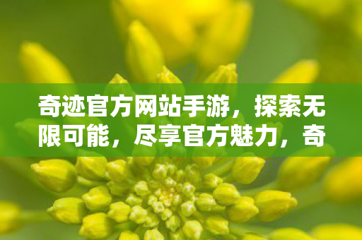 奇迹官方网站手游图片