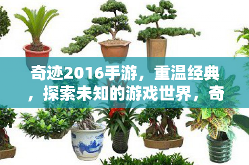 探索未知的游戏世界图片