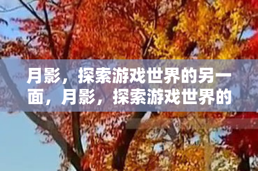 探索游戏世界的另一面图片