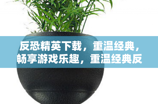 重温经典反恐精英图片