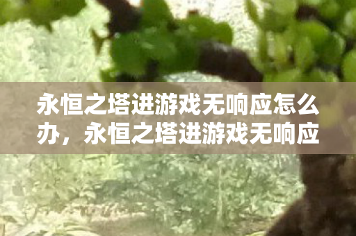 永恒之塔进游戏无响应的解决方法图片