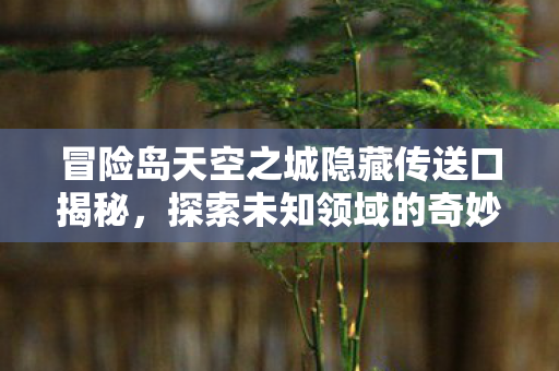 冒险岛天空之城隐藏传送口揭秘，探索未知领域的奇妙之旅，冒险岛天空之城隐藏传送口揭秘，探索未知领域的奇妙之旅