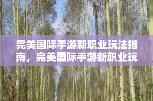 完美国际手游新职业玩法全解析图片