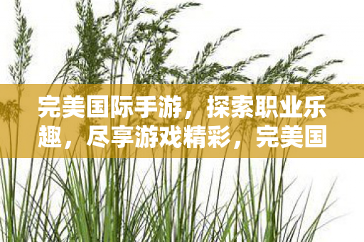 完美国际手游图片