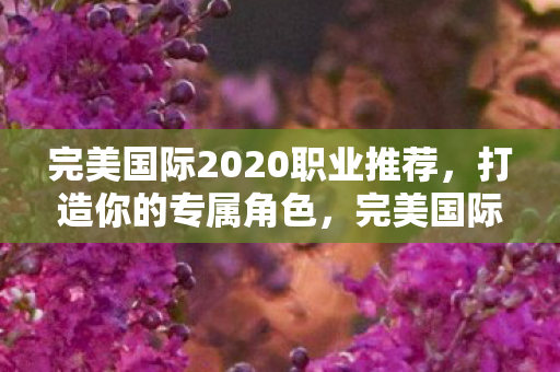 完美国际2020职业推荐图片