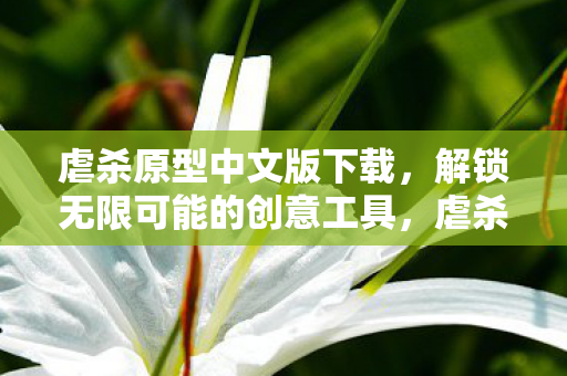 解锁无限可能的创意工具图片