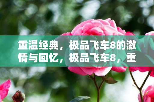 感受速度与激情的热血回忆图片