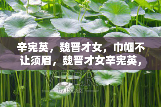 魏晋才女辛宪英图片