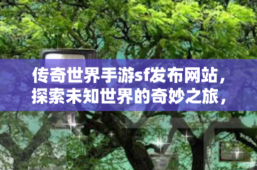 传奇世界手游sf发布网站图片
