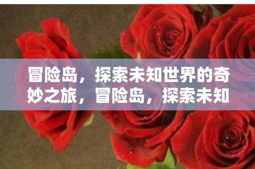 冒险岛，探索未知世界的奇妙之旅，冒险岛，探索未知世界的奇妙之旅