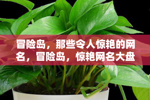 冒险岛,那些令人惊艳的网名,冒险岛,惊艳网名大盘点 冒险岛,那些令人惊艳的网名,冒险岛,惊艳网名大盘点